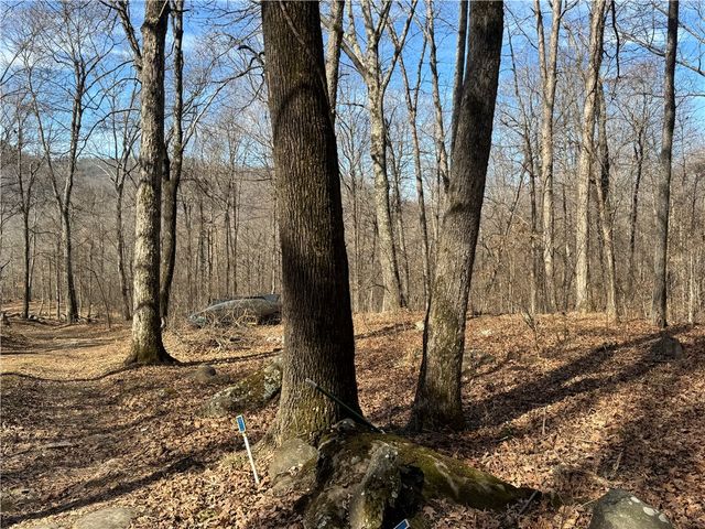 1906 Nc 8863, Jasper, AR 72641