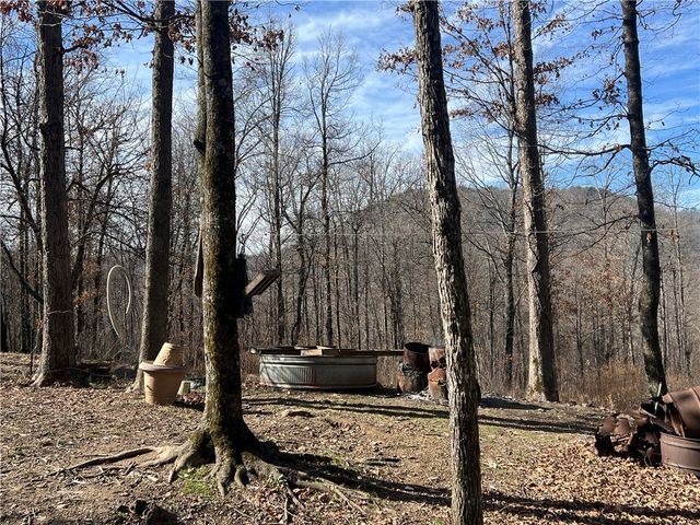 1906 Nc 8863, Jasper, AR 72641