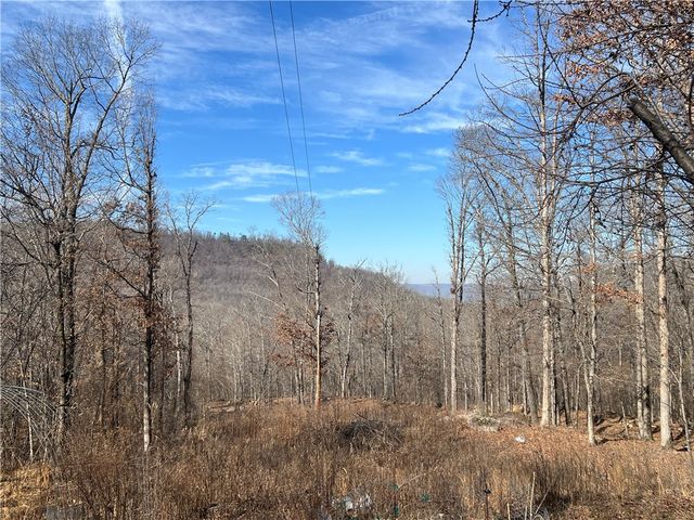 1906 Nc 8863, Jasper, AR 72641