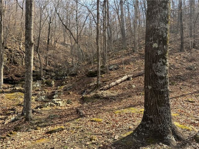 1906 Nc 8863, Jasper, AR 72641