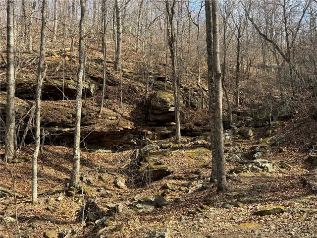 1906 Nc 8863, Jasper, AR 72641