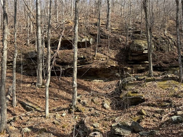 1906 Nc 8863, Jasper, AR 72641