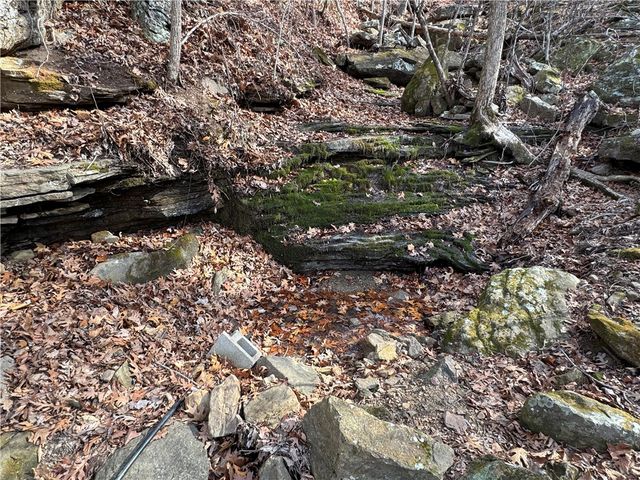 1906 Nc 8863, Jasper, AR 72641