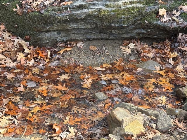 1906 Nc 8863, Jasper, AR 72641