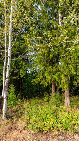 3934 Garvey Cir, Colville, WA 99114