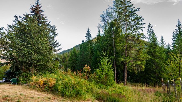 3934 Garvey Cir, Colville, WA 99114
