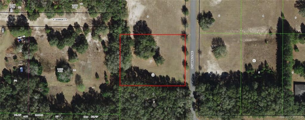 3034 N Clements Avenue, Hernando, FL 34442