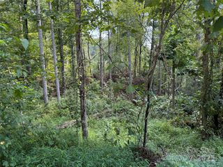 256 Burge Mountain Road, Hendersonville, NC 28792