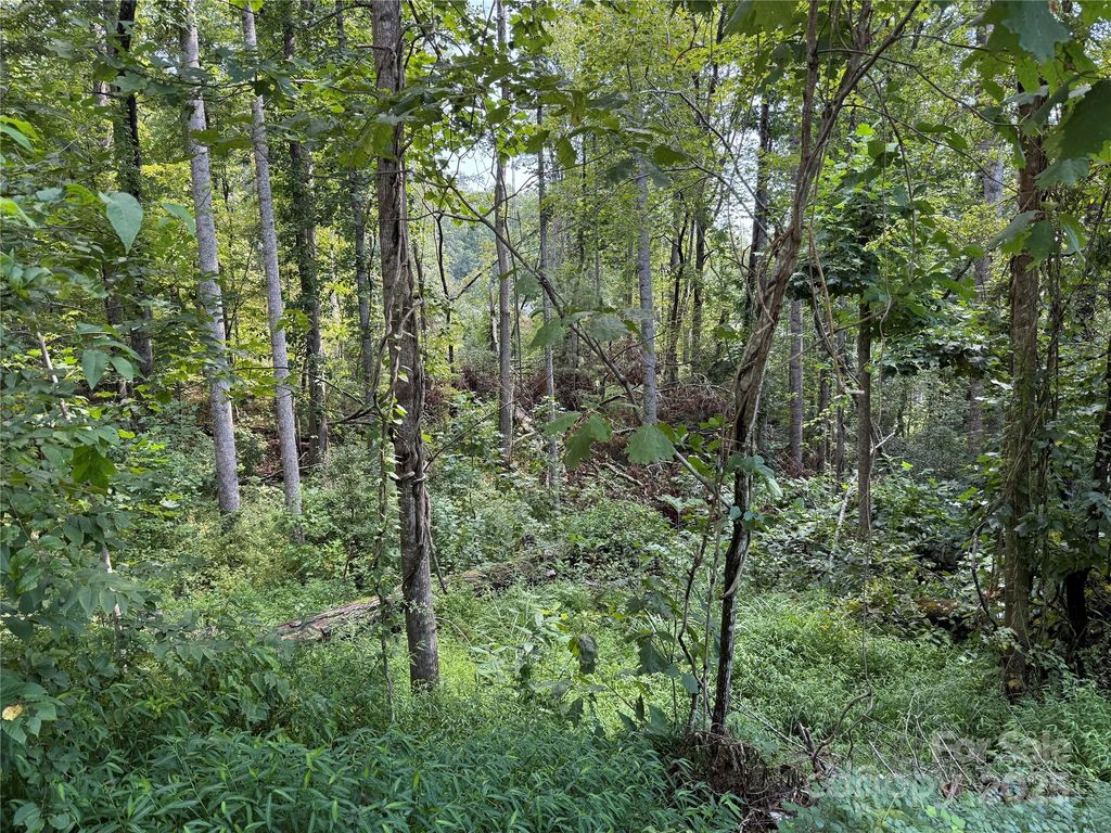 256 Burge Mountain Road, Hendersonville, NC 28792