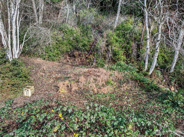 7364 NE North Shore Road, Belfair, WA 98528