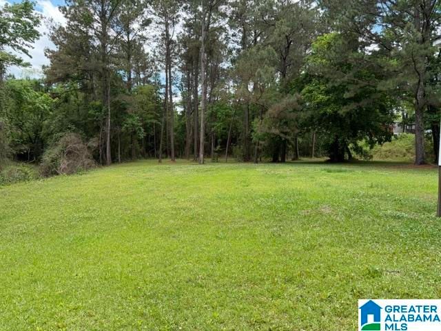 9126 STOUTS ROAD, Kimberly, AL 35091