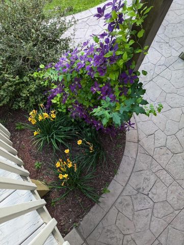 9731 Greenspruce Court N, Brooklyn Park, MN 55443