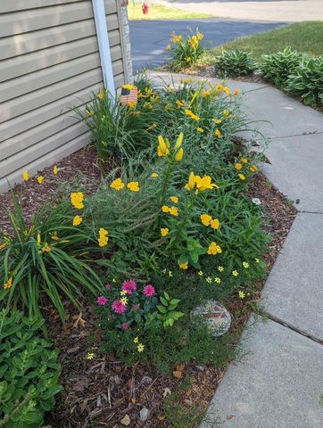 9731 Greenspruce Court N, Brooklyn Park, MN 55443