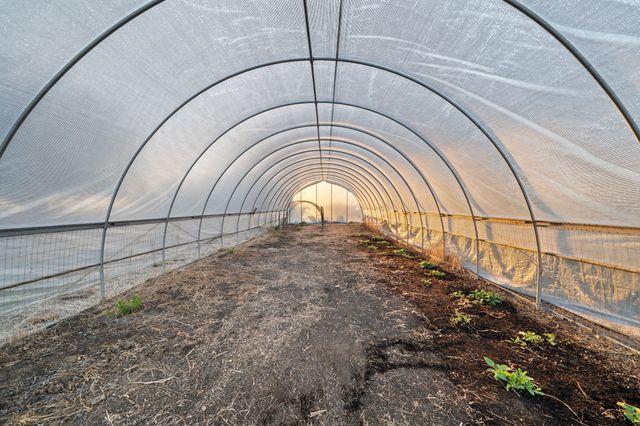 420 County Road 2904, Dodd City, TX 75438