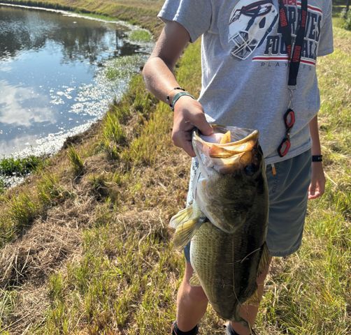 538 County Home Rd., Ellisville, MS 39437