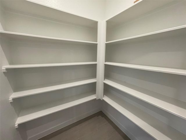 16503 Texas Palmetto Way, Hockley, TX 77447