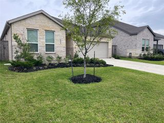 16503 Texas Palmetto Way, Hockley, TX 77447