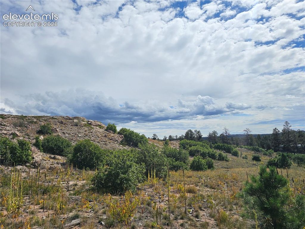 TBD Falcon Drive, Colorado Springs, CO 80908 — photo 4