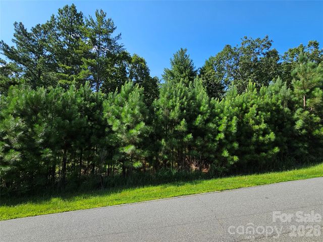 TBD Coveside Drive 149, Granite Falls, NC 28630