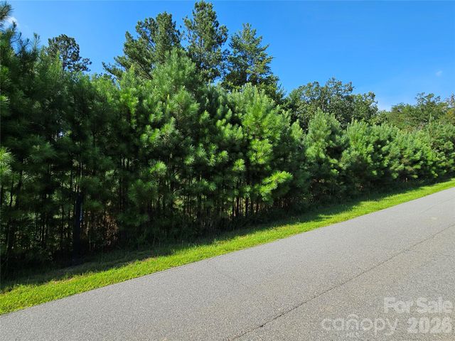 TBD Coveside Drive 149, Granite Falls, NC 28630