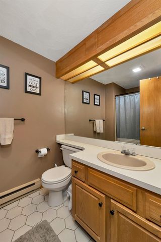 P61 Christmas Mountain Road P61, Bartlett, NH 03838