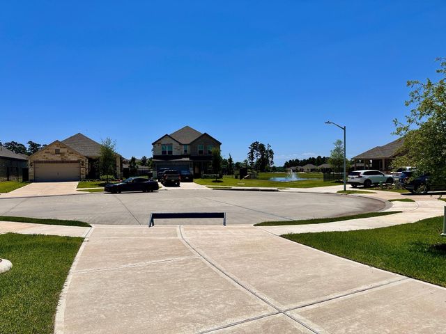 711 Fallen Hemlock Court, Conroe, TX 77304