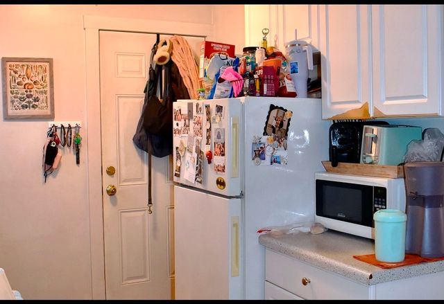 3843 N Greenview Avenue 1, Chicago, IL 60613