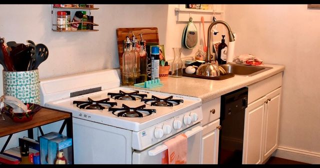 3843 N Greenview Avenue 1, Chicago, IL 60613