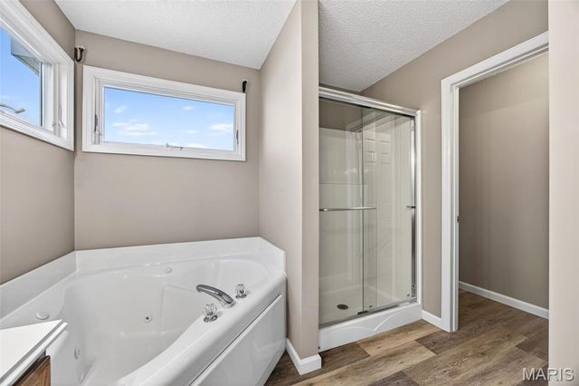 4 Wild Senna Court, Dardenne Prairie, MO 63368