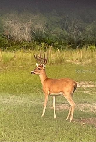 14020 SE 106TH STREET, Ocklawaha, FL 32179