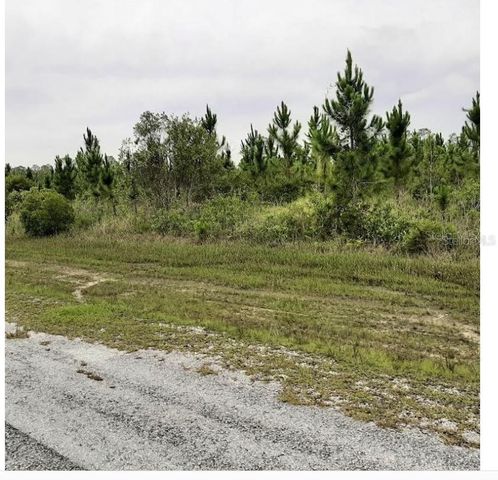 CALLIANDRA DRIVE, Indian Lake Estates, FL 33855