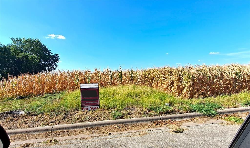 Lot 9 East Plum ST, Granger, TX 76530