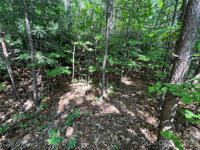 225 Lucerne Drive, Canton, NC 28716