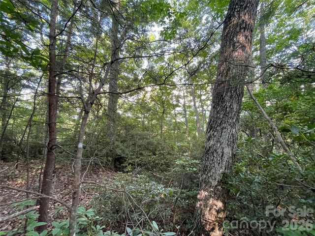225 Lucerne Drive, Canton, NC 28716