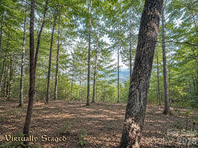 225 Lucerne Drive, Canton, NC 28716