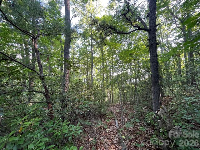 225 Lucerne Drive, Canton, NC 28716
