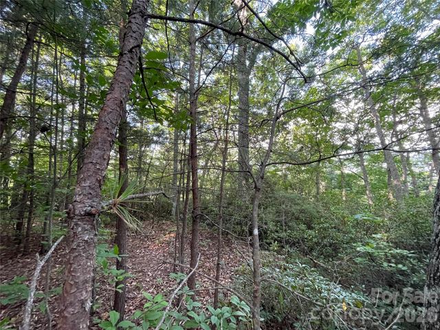 225 Lucerne Drive, Canton, NC 28716