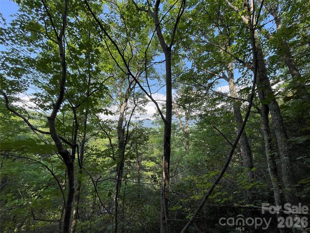 225 Lucerne Drive, Canton, NC 28716