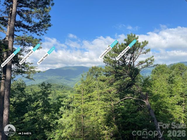 225 Lucerne Drive, Canton, NC 28716