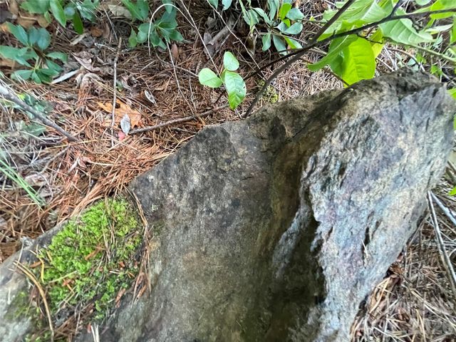 225 Lucerne Drive, Canton, NC 28716