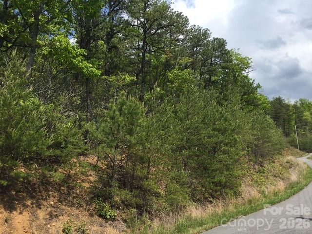 225 Lucerne Drive, Canton, NC 28716