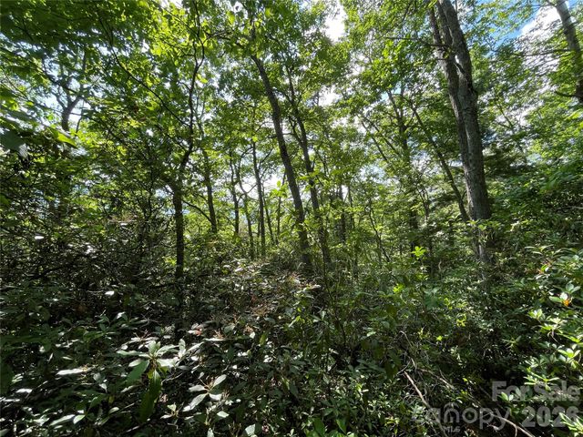 225 Lucerne Drive, Canton, NC 28716