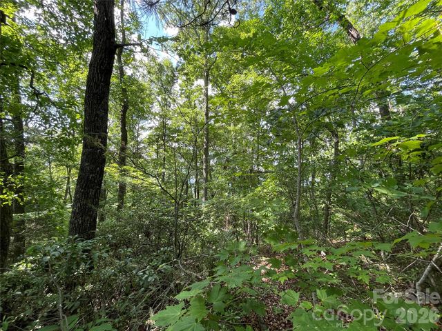 225 Lucerne Drive, Canton, NC 28716