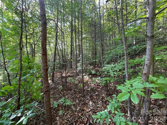225 Lucerne Drive, Canton, NC 28716