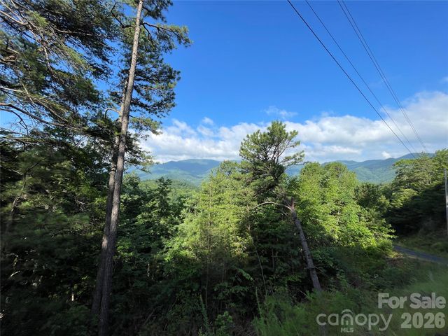 225 Lucerne Drive, Canton, NC 28716