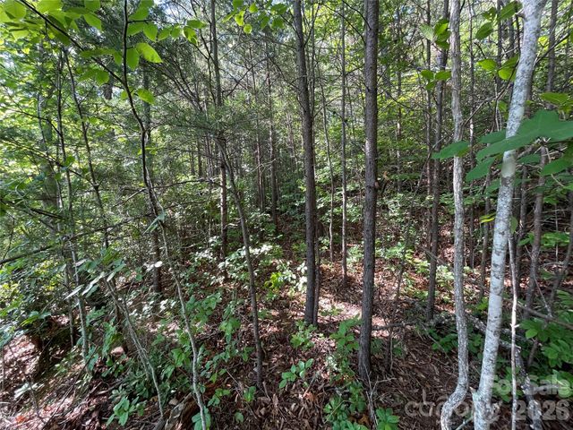 225 Lucerne Drive, Canton, NC 28716