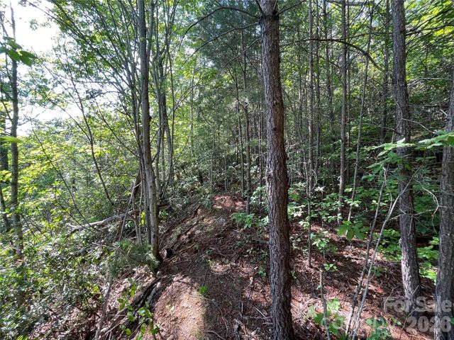 225 Lucerne Drive, Canton, NC 28716