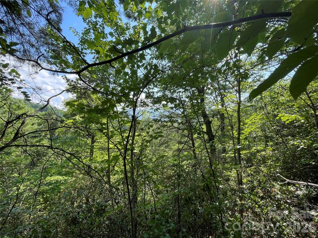 225 Lucerne Drive, Canton, NC 28716