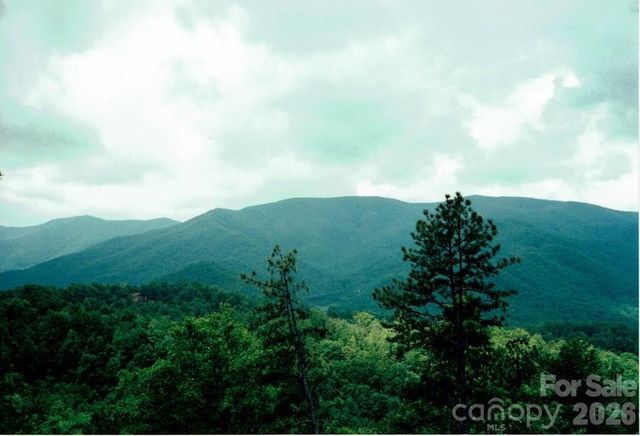 225 Lucerne Drive, Canton, NC 28716