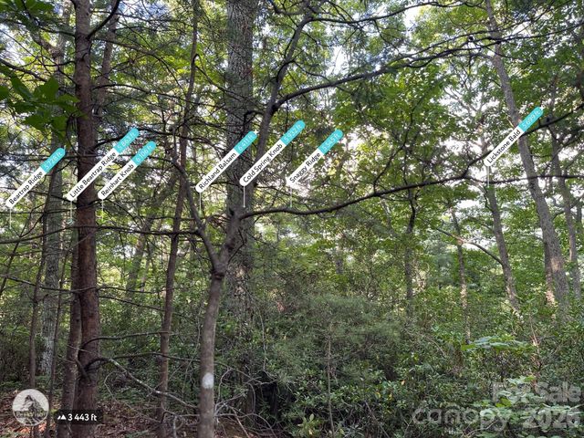 225 Lucerne Drive, Canton, NC 28716